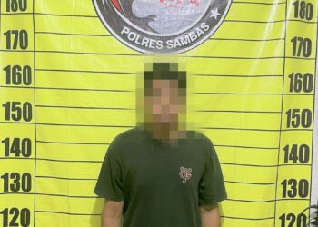 Img 20240202 1407195942244252342277745