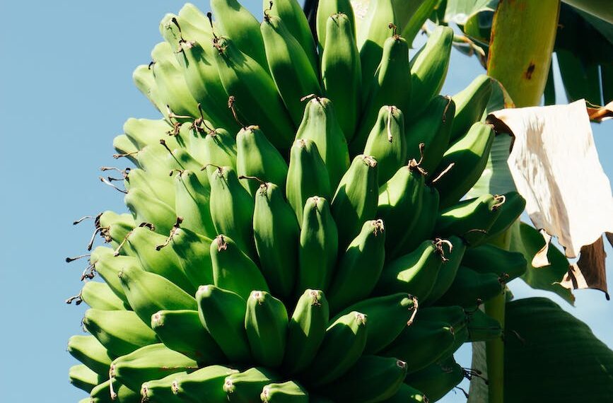 Pexels Photo 15507956