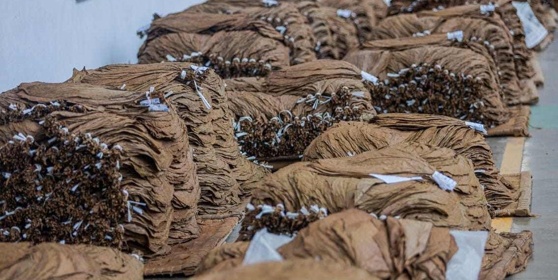 Img 20240320 Wa0004601159788353196854.jpg