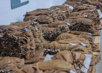 Img 20240320 Wa0004601159788353196854.jpg