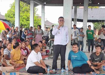 Img 20240320 Wa00067829289341059783459.jpg