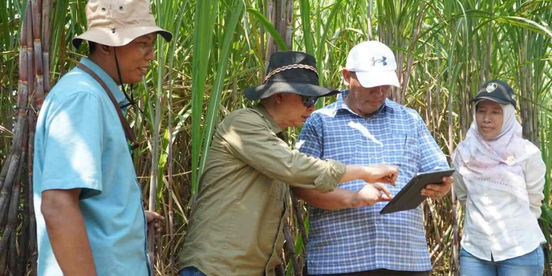 Img 20240327 Wa00089109218600180763838.jpg