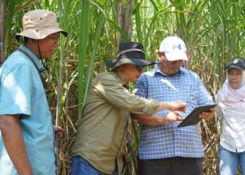 Img 20240327 Wa00089109218600180763838.jpg