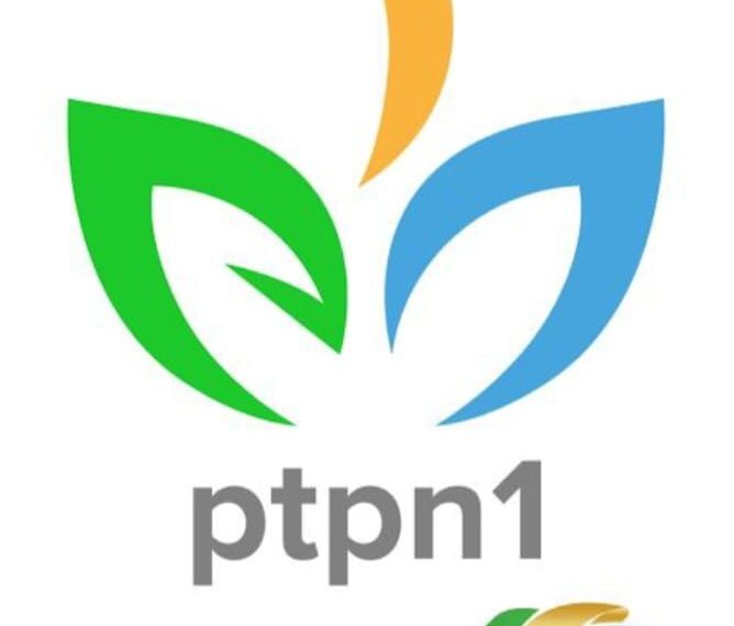 Img 20240328 Wa00009127487535917182079.jpg