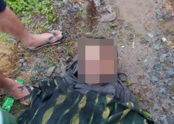 Screenshot 20240301 0140076644159347628596782.jpg