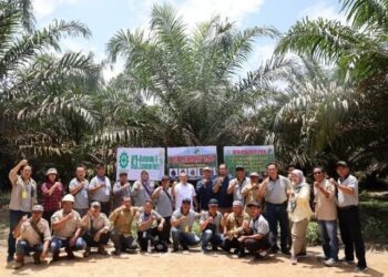 Screenshot 20240318 0408522516606901802285702.jpg