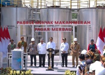 Screenshot 20240320 0237083643833710697339031.jpg