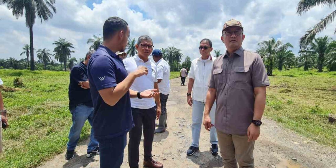 Img 20240404 Wa00035136805576826944281.jpg