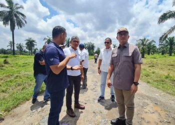 Img 20240404 Wa00035136805576826944281.jpg