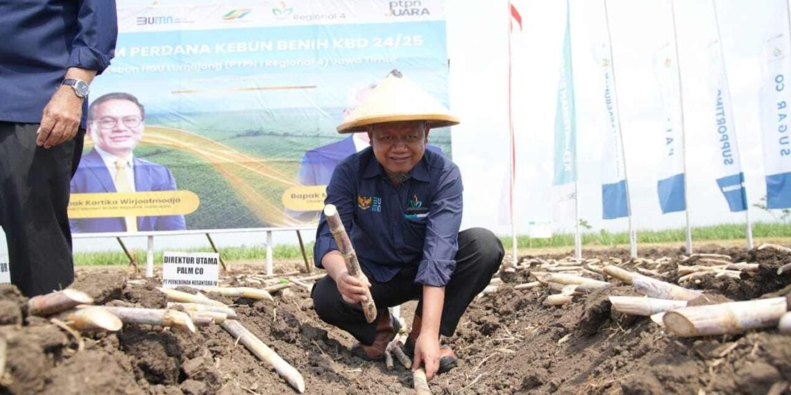 Img 20240513 Wa0002139608521627909986.jpg