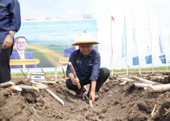 Img 20240513 Wa0002139608521627909986.jpg