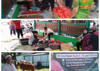 Gridart 20240618 231726348