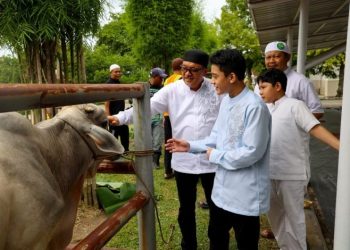 Screenshot 20240629 075220