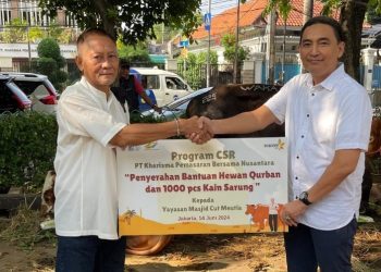 Screenshot 20240629 093725