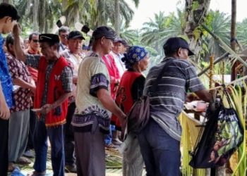 Screenshot 20240629 100612