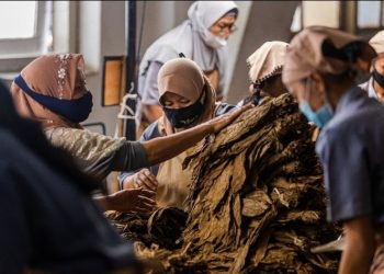 Screenshot 20240629 104353