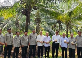 Screenshot 20240629 110610