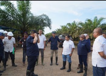 Screenshot 2024 0616 123159