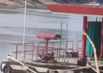 Screenshot 20240929 1931518863450922593692572.jpg