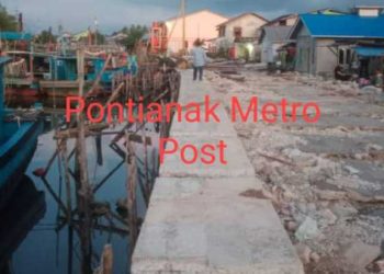 Screenshot 20241021 1543262919435904819916521.jpg