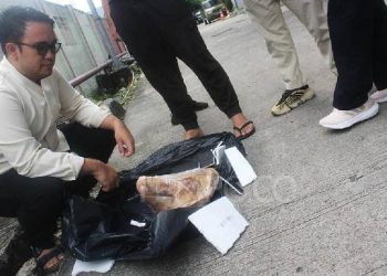 Images+285521029489498845722.