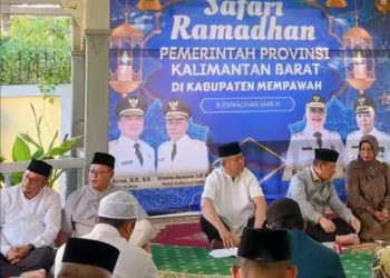 Img 20250312 wa00268001257928278347639