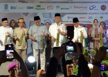 Img 20250317 wa00132721522020516766278