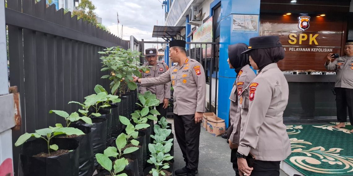 Img 20250320 wa0009436824974738478721