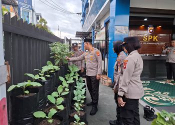 Img 20250320 wa0009436824974738478721