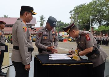 Img 20250414 wa00045093258233562999056