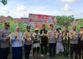 Img 20250416 wa00007861931880233090093