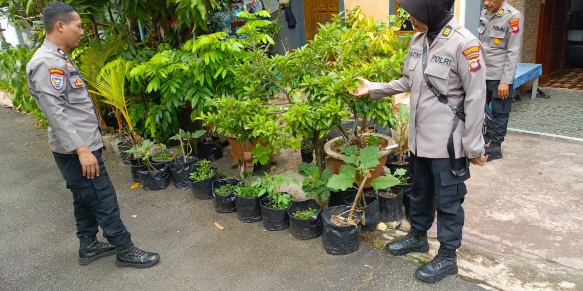 Img 20250429 wa00108748504062200789493