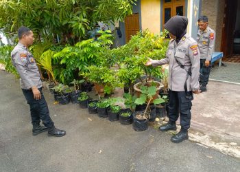 Img 20250429 wa00108748504062200789493