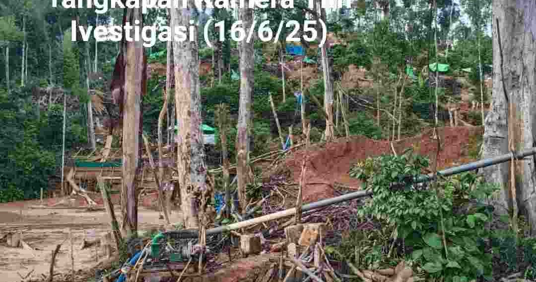 Img 20250618 wa0758 (1)