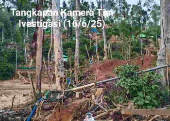 Img 20250618 wa0758 (1)