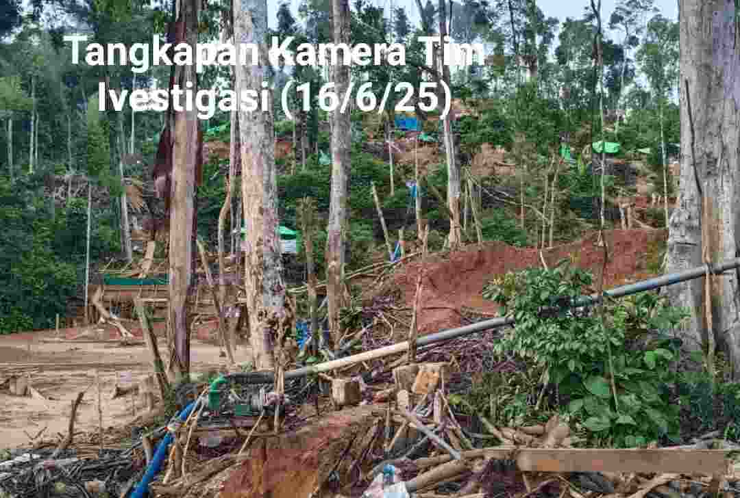 Img 20250618 wa0758 (2)