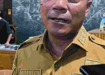 Img 20250620 wa0645(1)