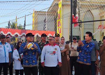 P 20250617 1700429117428844057397100