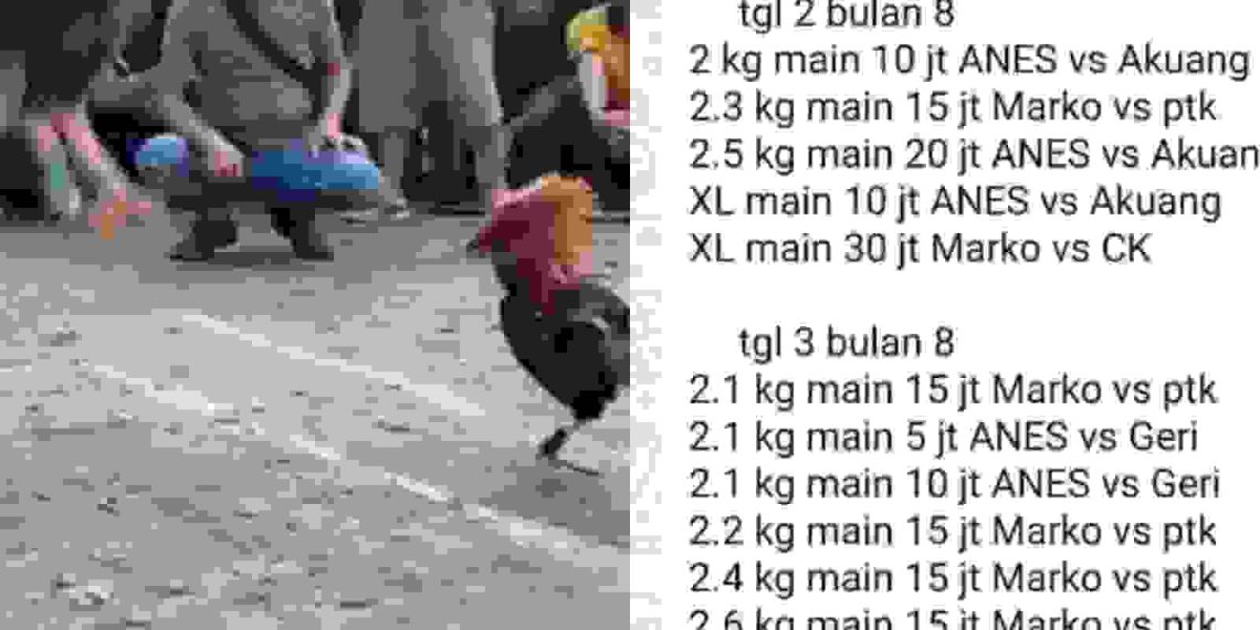 Img 20250805 wa0446 (1)