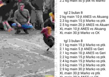 Img 20250805 wa0446 (1)