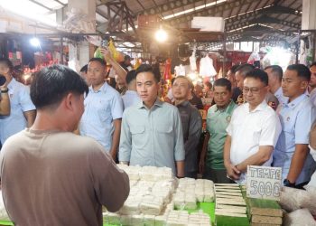 Img 20250823 wa00246066408908821007333