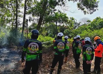 Img 20260201 wa00762213860087467574761