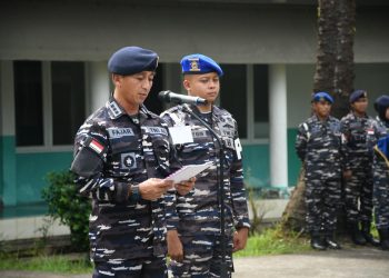 Img 20260208 wa01104722644457077293877