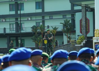 Ae1d4be1 d742 4423 a356 29d48eead7f7 1.jpg