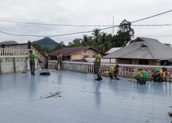 CREATOR: gd jpeg v1.0 (using IJG JPEG v62), quality = 82?