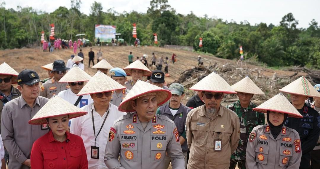 Img 20260308 wa00018744096311457379506