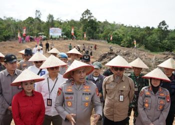 Img 20260308 wa00018744096311457379506