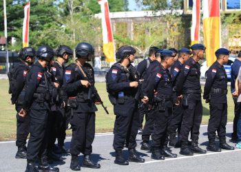 CREATOR: gd jpeg v1.0 (using IJG JPEG v62), quality = 82?