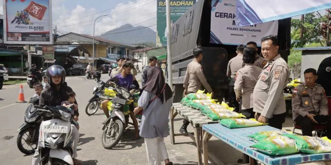 Img 20260313 wa00752802517842583102688