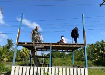 Img 20260315 wa00006645886389025851889